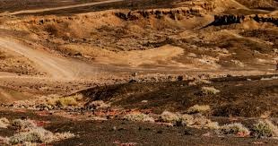 英联杯-阿森纳主场0-2纽卡斯尔 马丁内利中柱哈弗茨失良机